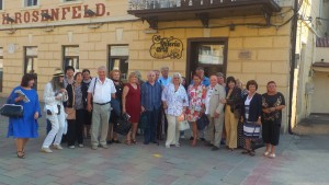 21057582_1607941299236766_278961541_o